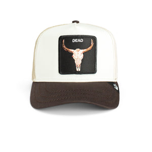 Trucker hat with skull patch and 