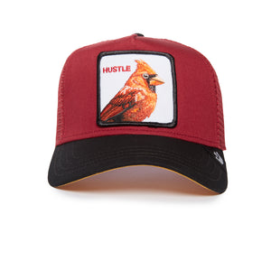 Red and black baseball cap with an embroidered cardinal and the word 